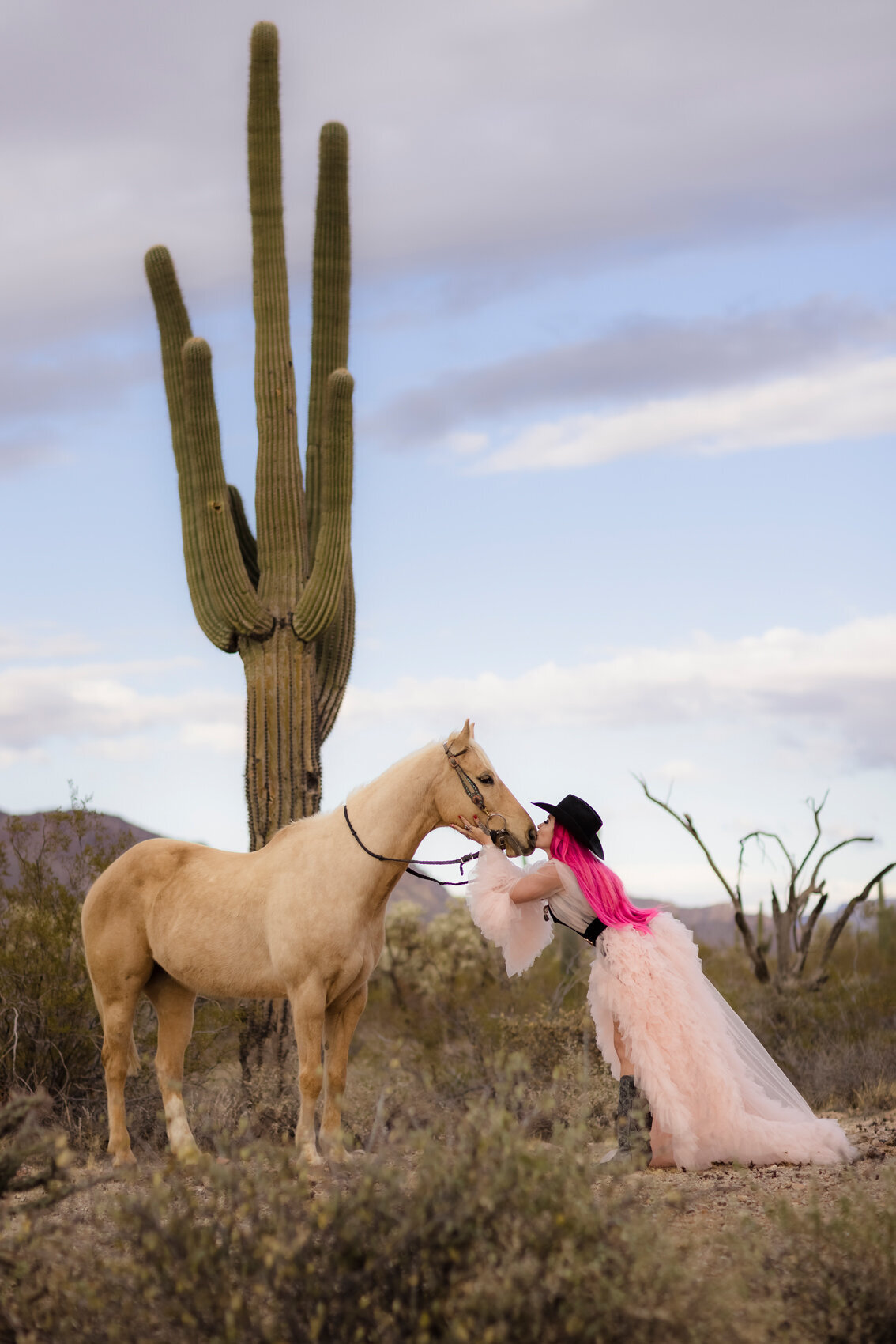 ShalimarStudios_1003