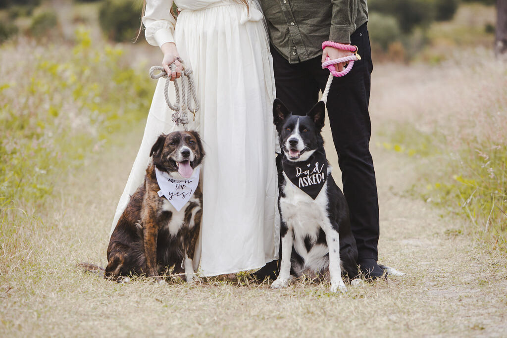 074 - HundredsofMoments_Engagements_120