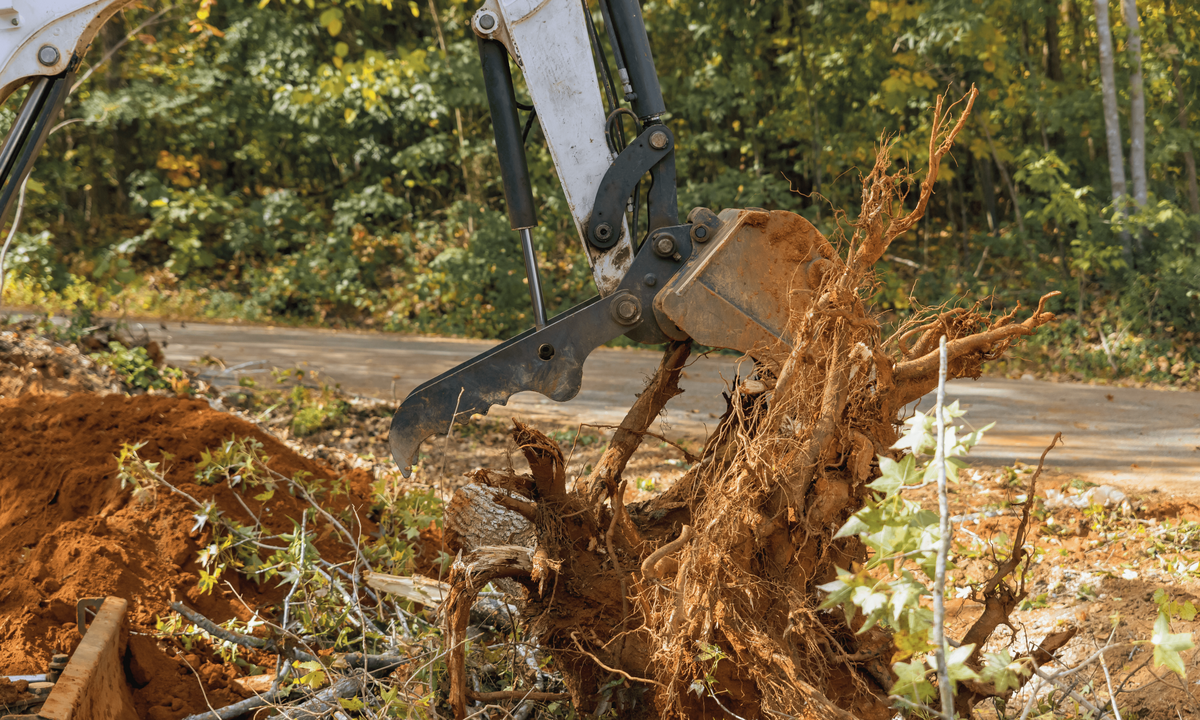 tree removal services near Lititz, Pa 