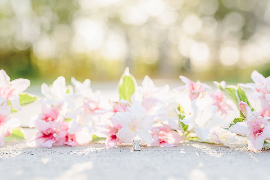 Grace Valley Farm Engagement Photos Collins and Collins Photography-4915