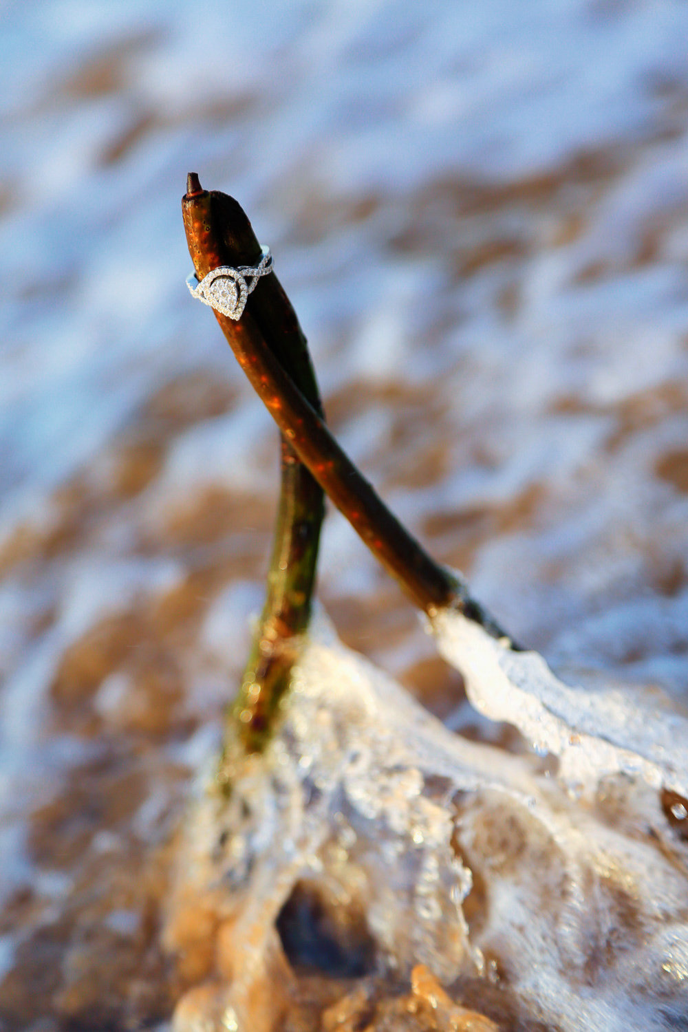 Image of engagement ring on driftwood among the moving waves fo the ocean. Photo by Ross Photography, Trinidad, W.I..