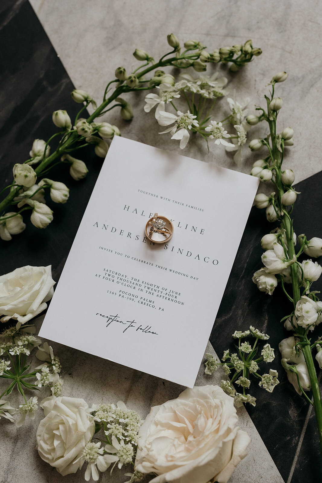 Haley-Andersen-Pocono-Palms-Wedding-Photography-20