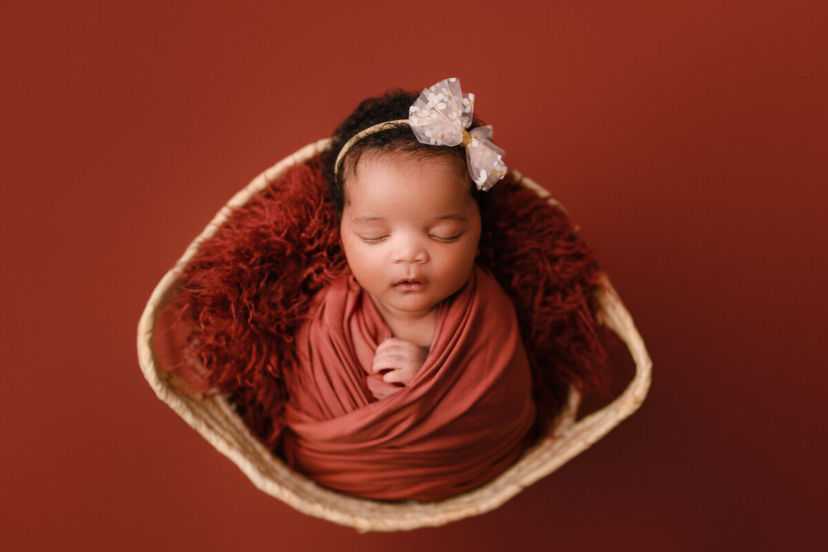High quality luxe newborn photography