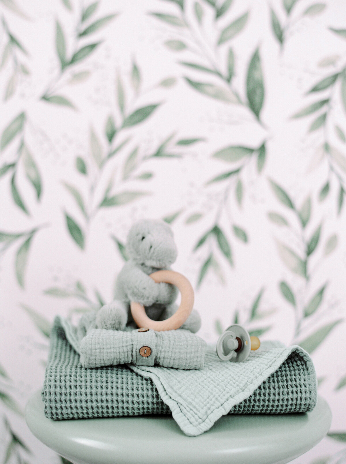 Green Baby Decor w: Dinosaur