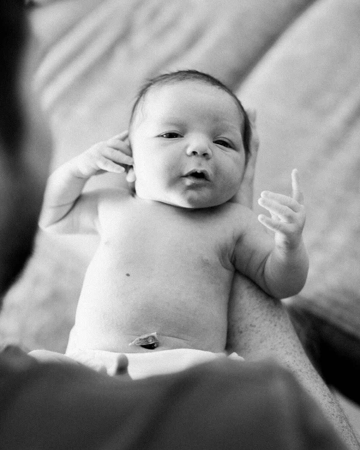 036_Walker_Newborn