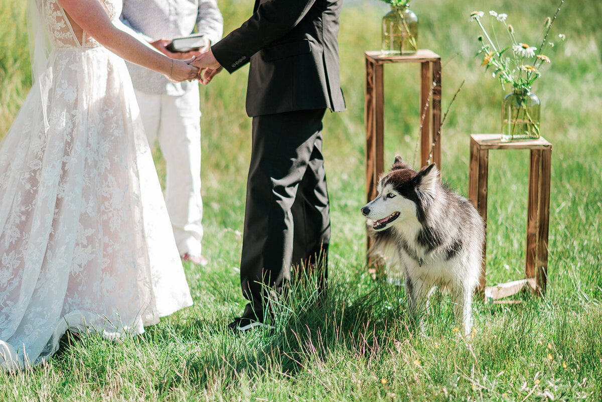 vw-mini-bus-camping-wedding-silverton-colorado_0261_websize