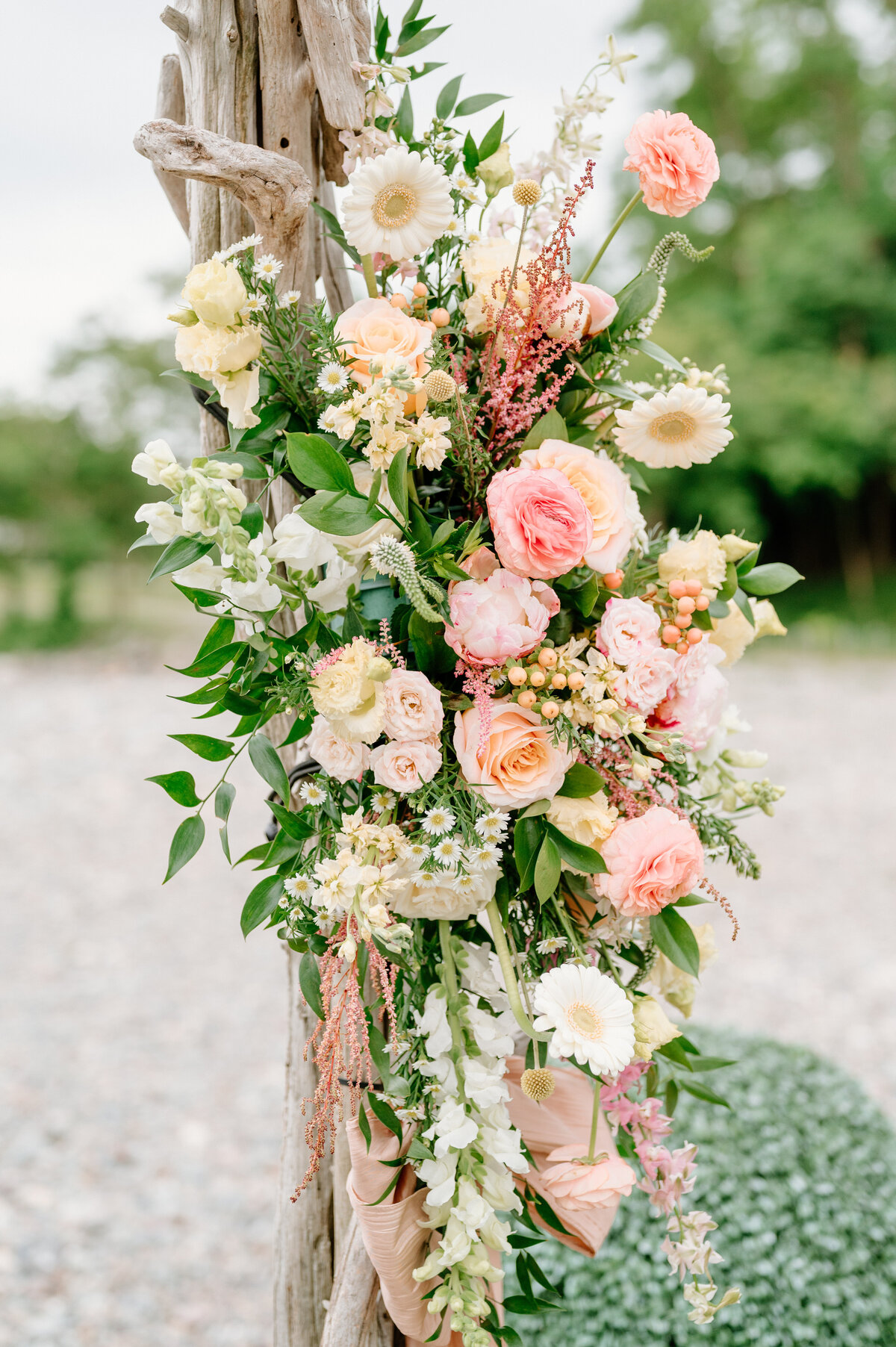 Schmidt-Wedding-586
