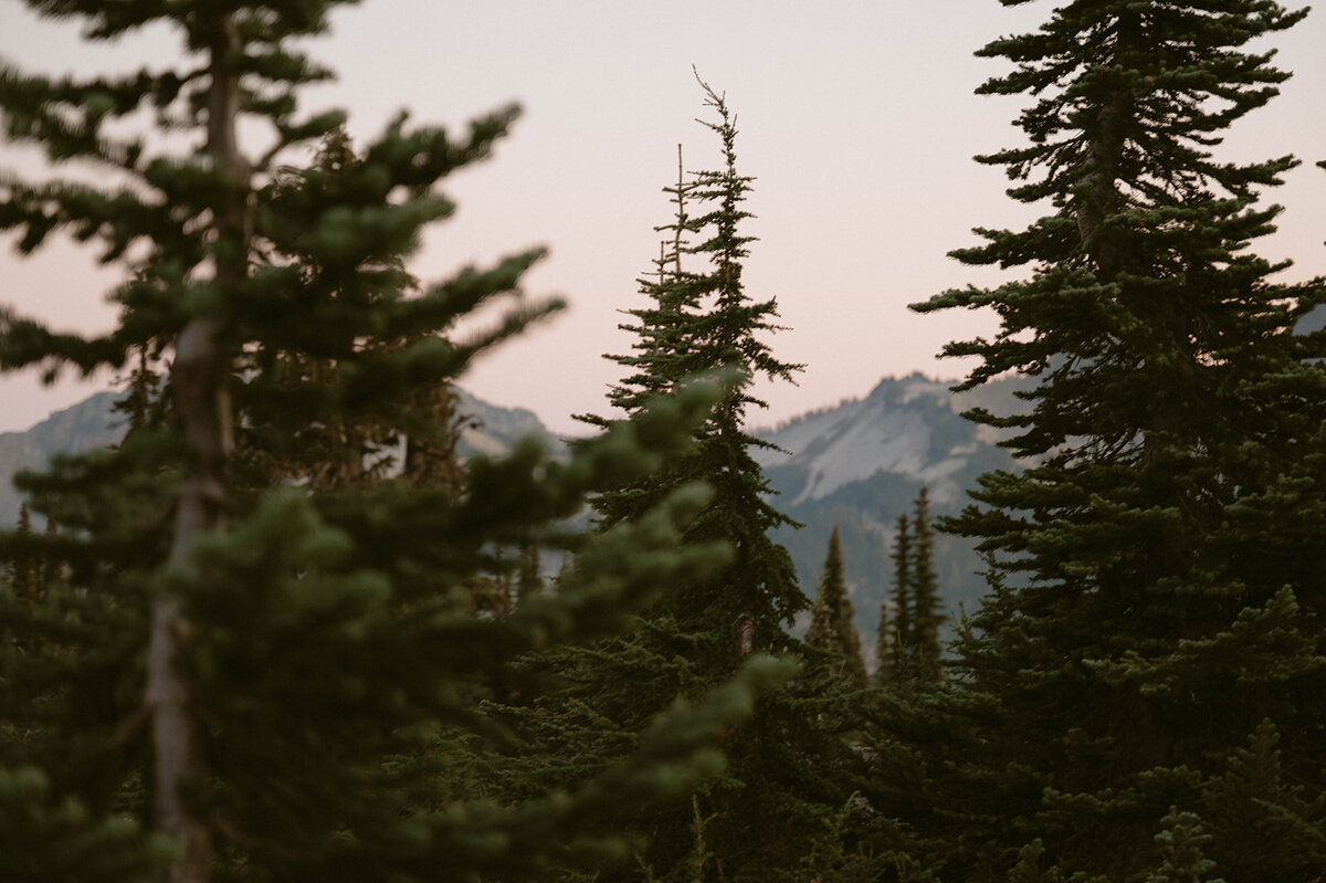 09-19-25_Mallory&Andile_PRPLLC-980