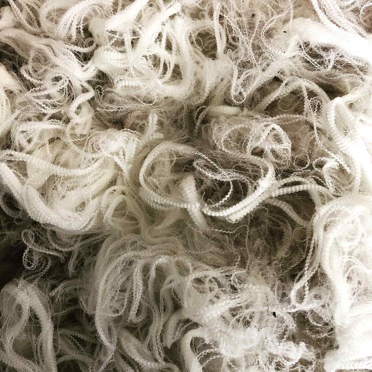 Wool Breeding