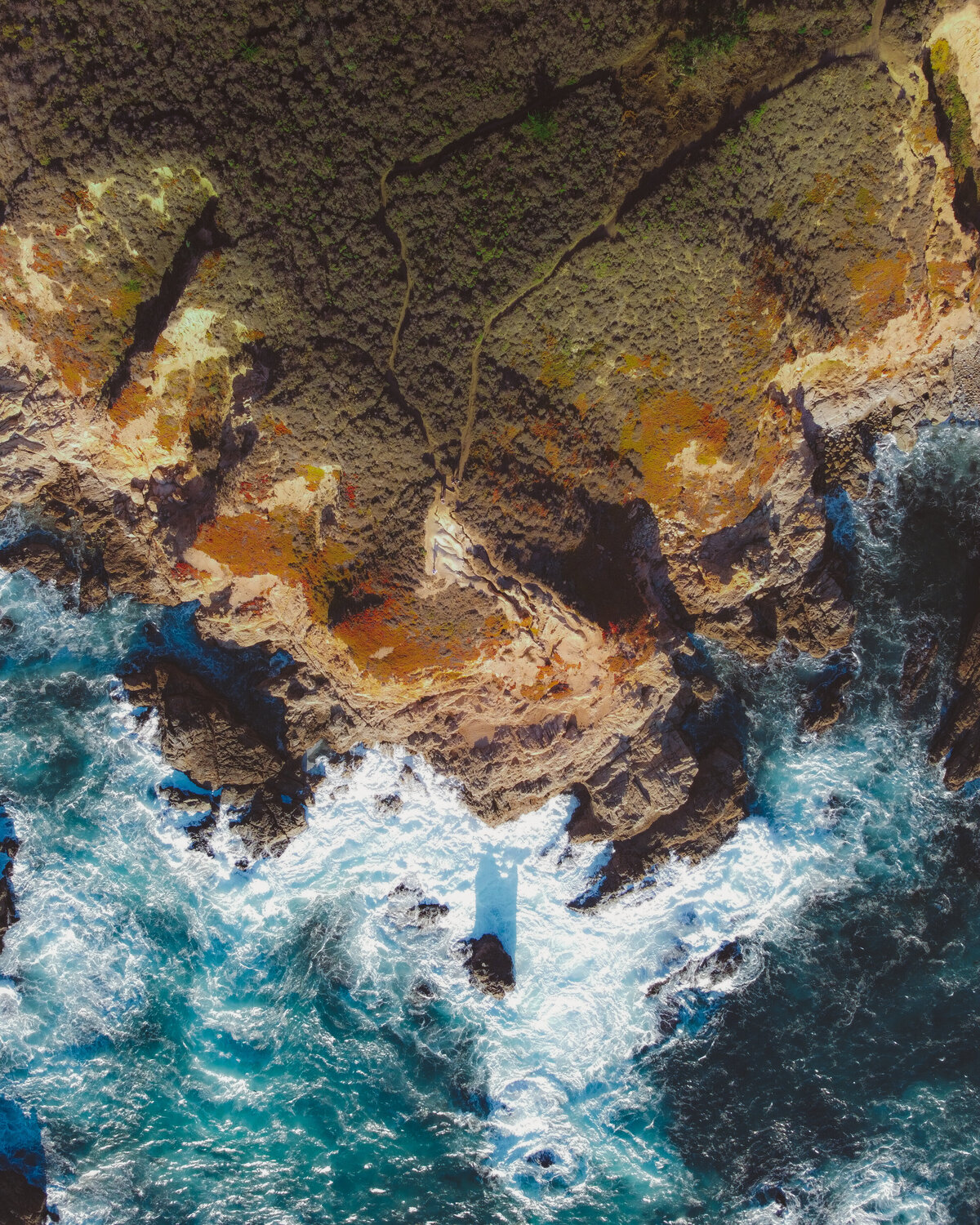 DJI_0259
