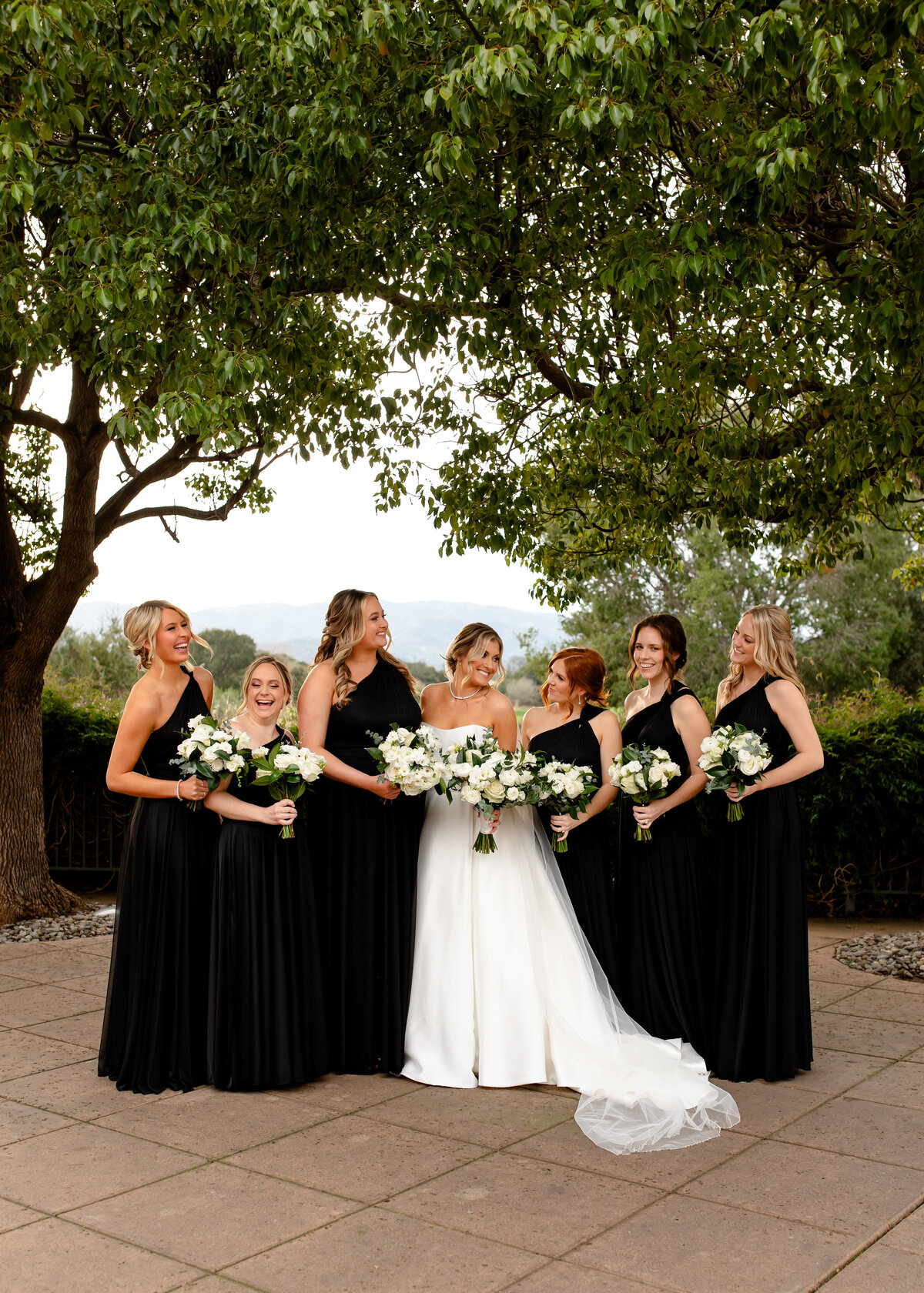 01272024_Lauren+KaleWedding_StonetreeNovatoCA_AnjaJensenPhotography-380