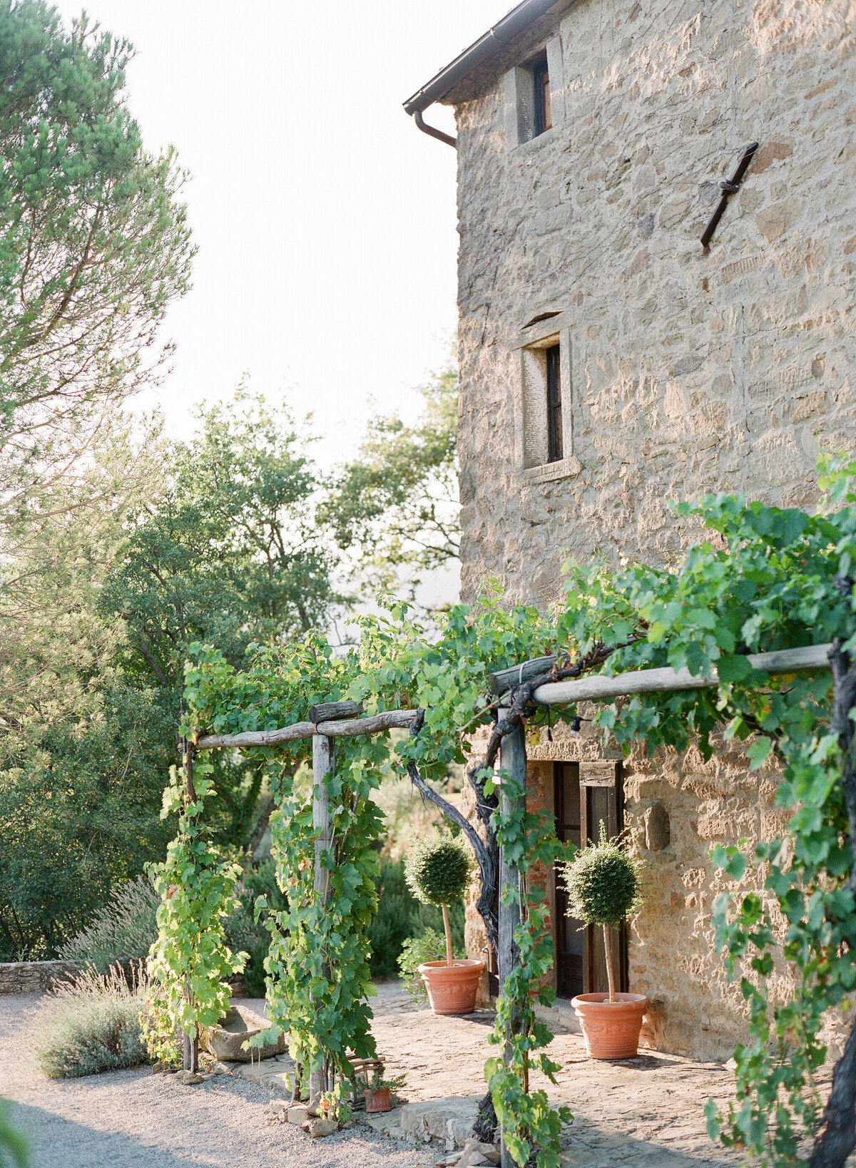 Les_Anagnou_tuscany_23072018_47
