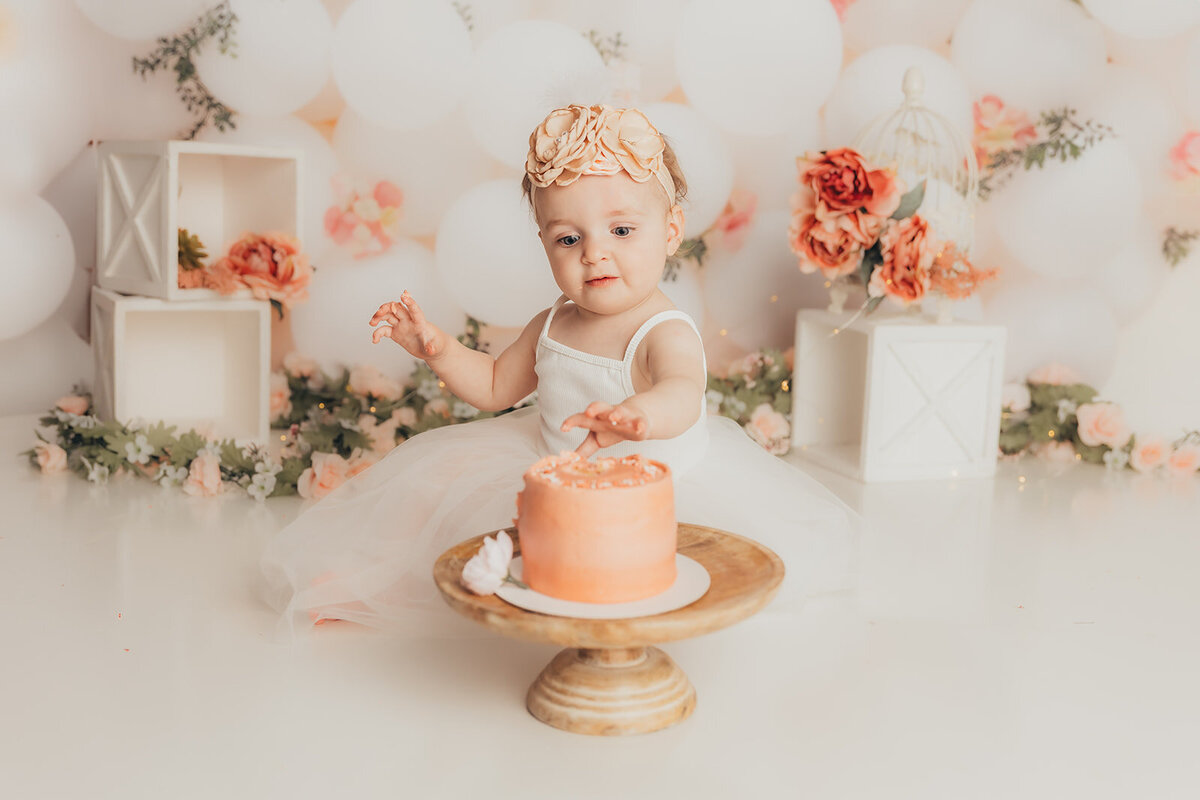 cake-smash-photographer-harrisburg3293-2-Edit_websize
