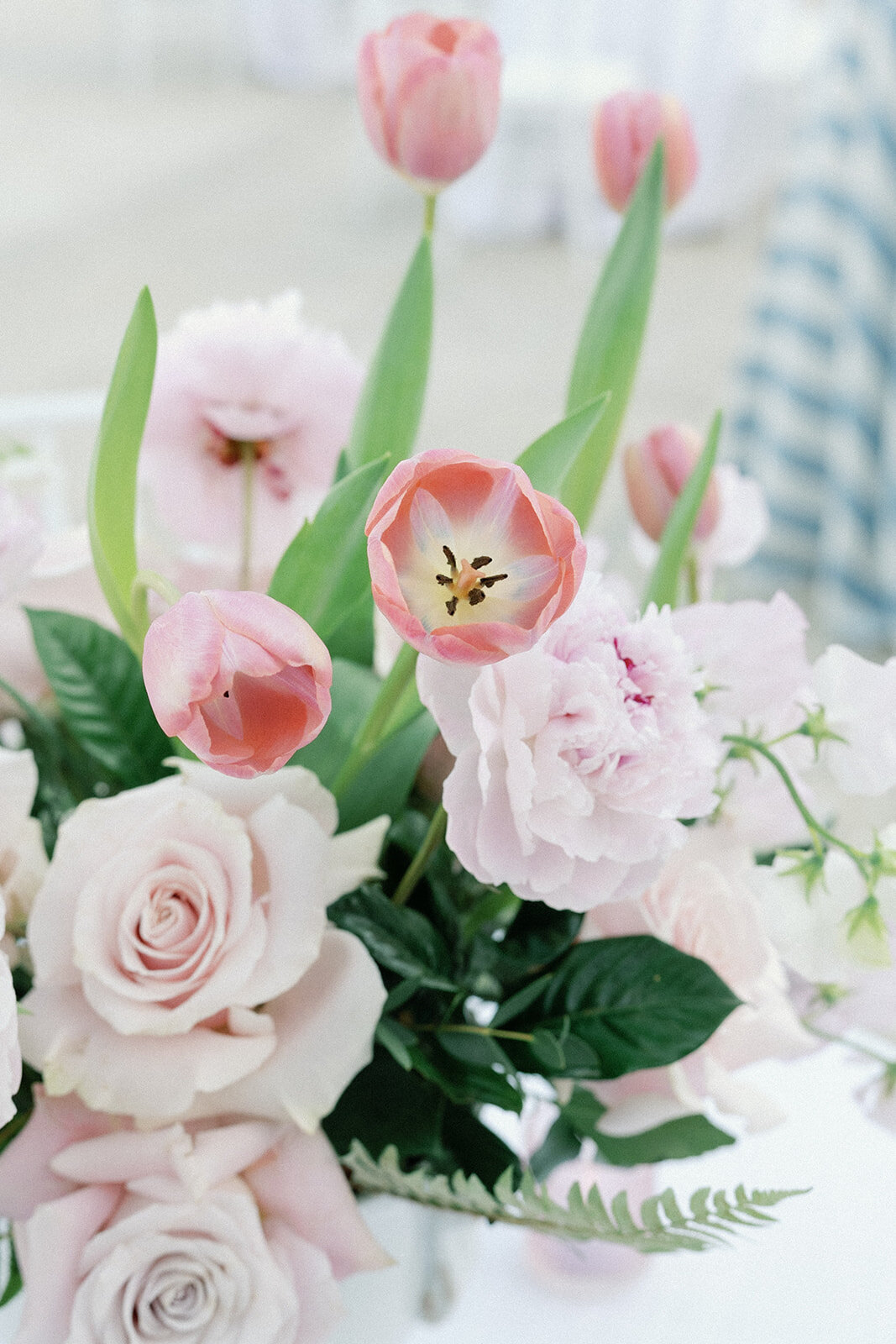 Grace+LukePreviews_TheColeArtists-209