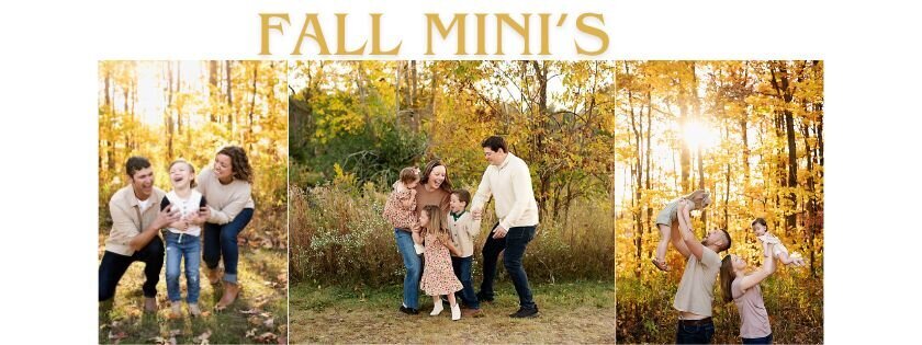 ARP Website Header Image Fall Mini