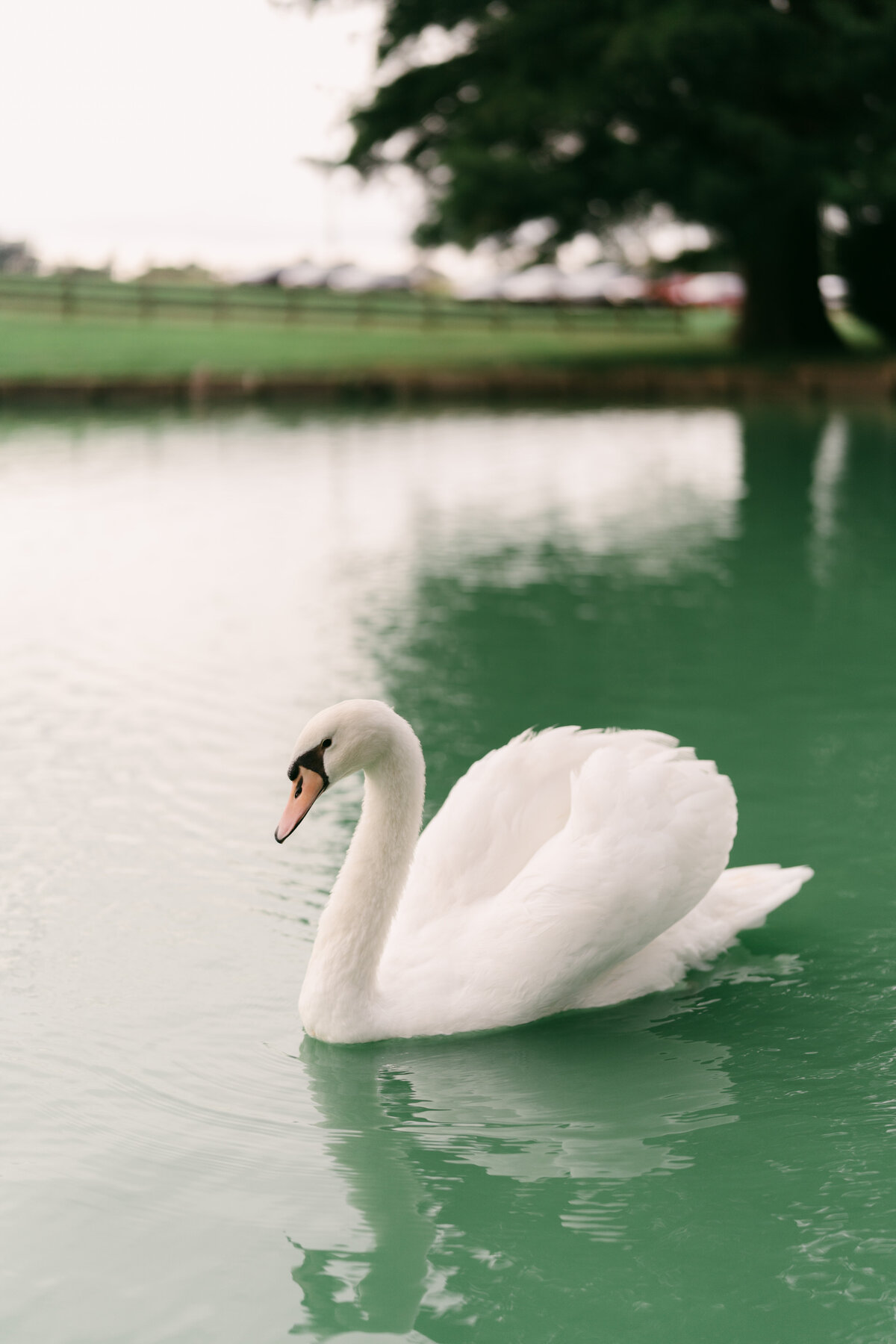 24053_3845 (3)