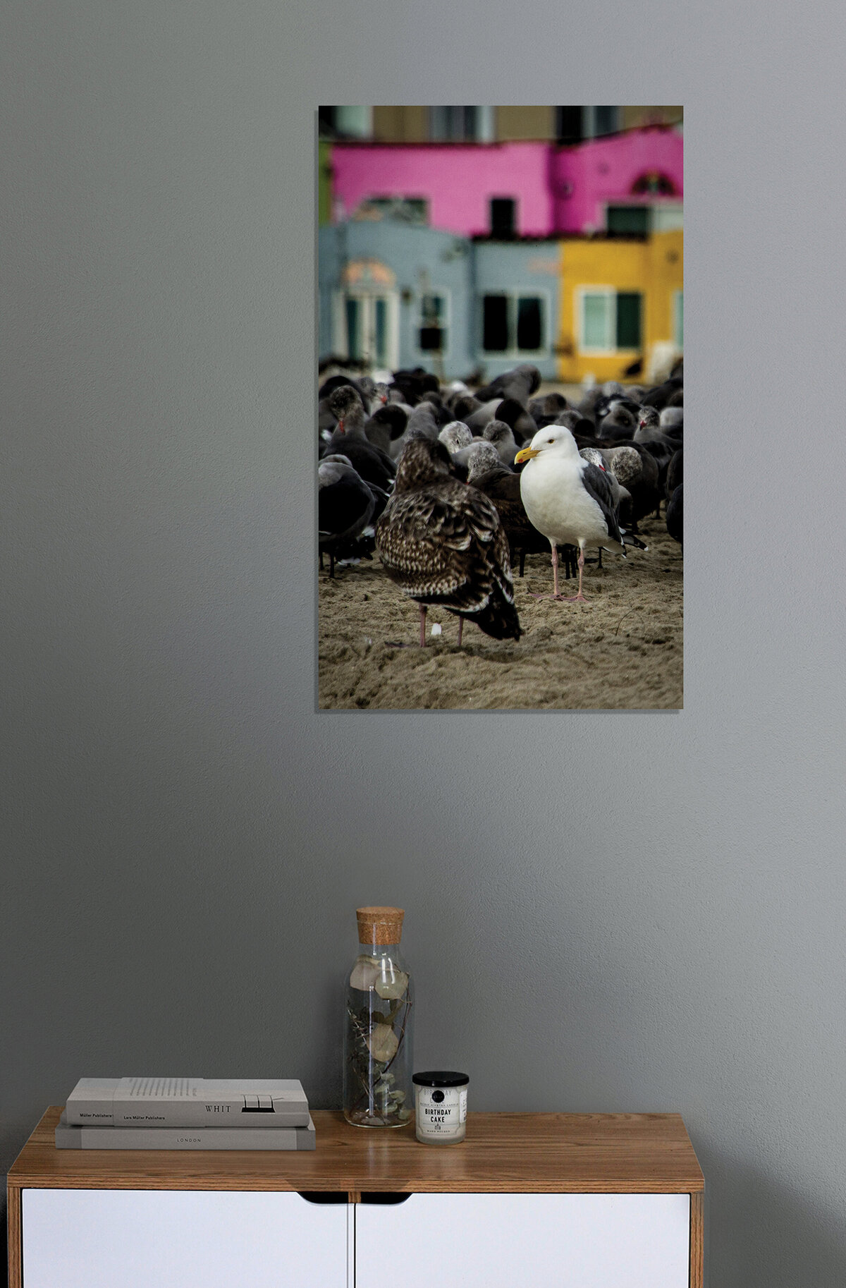 ©FredWGillaspy-SCrz-Capitola-Birds-Vert-MU-001