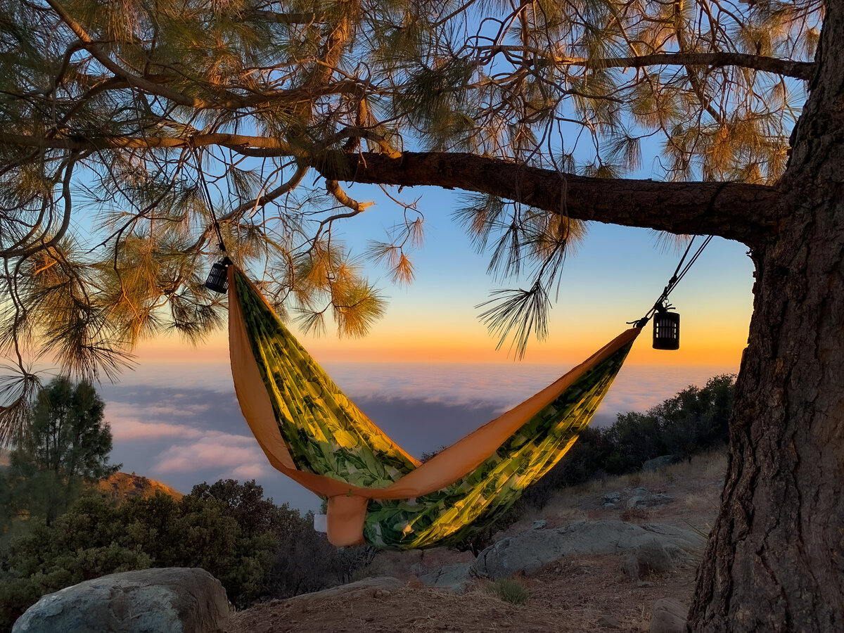 A hammock illuminated by lanterns under a starry sky, set in a secluded California wilderness for a rugged yet luxurious outdoor experience