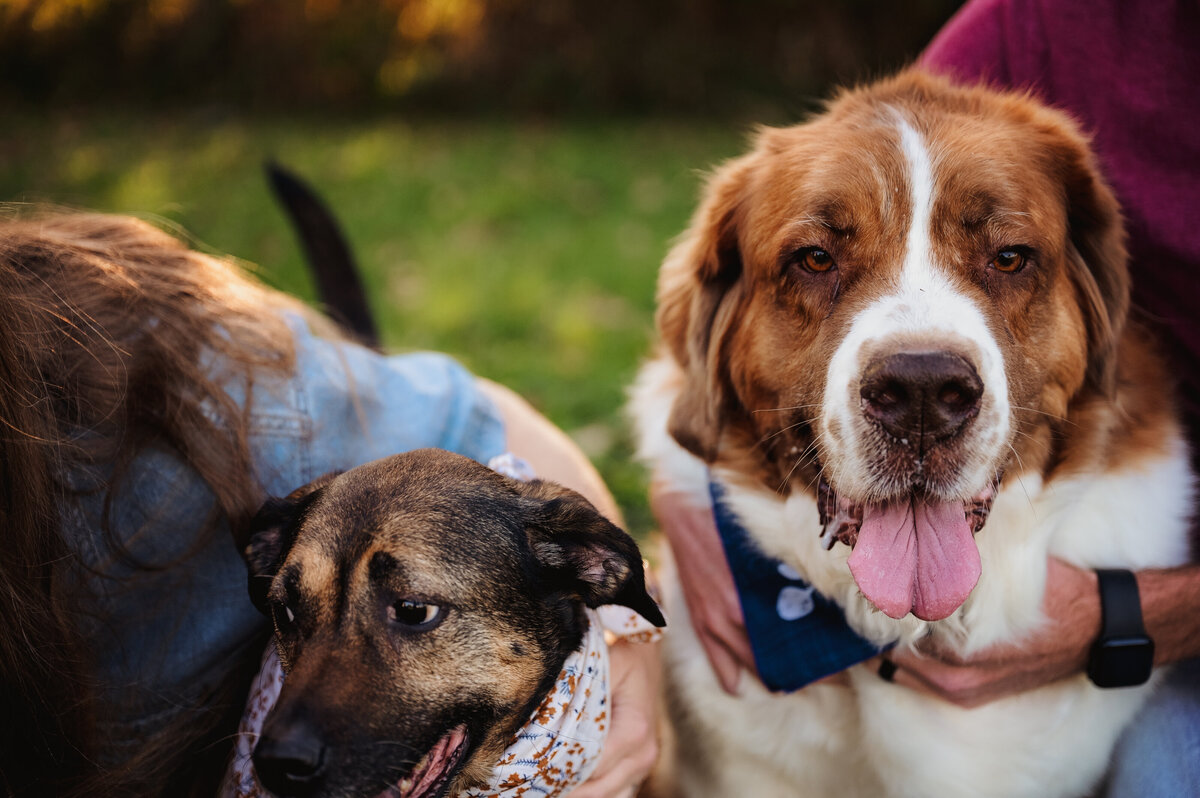 NicoleS_Fall2025_012