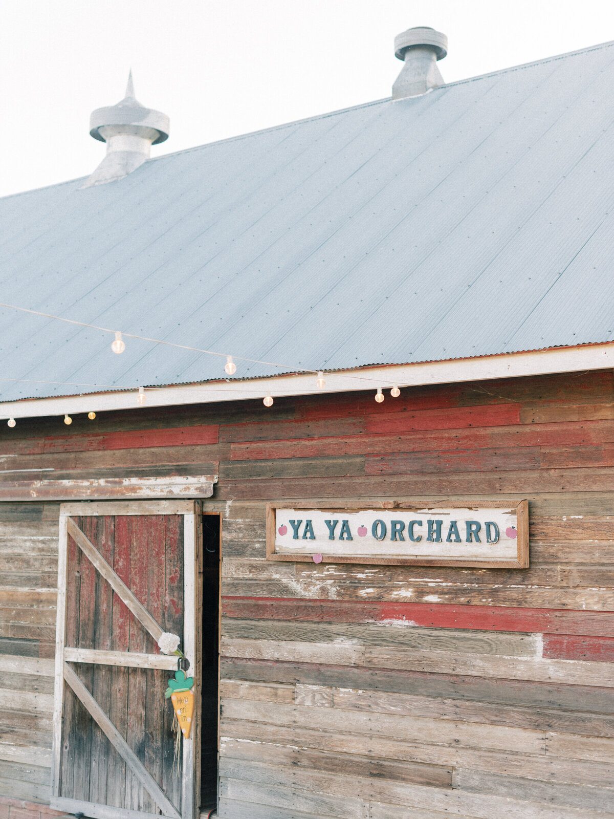 apple_orchard_wedding_Longmont_colorado_mary_ann_craddock_photography_0141