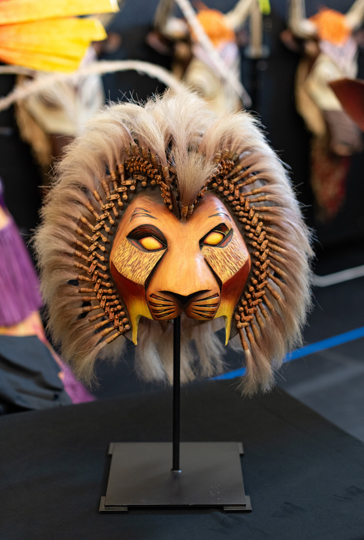 LionKing-M&G-Wade_Muir_Photography-5