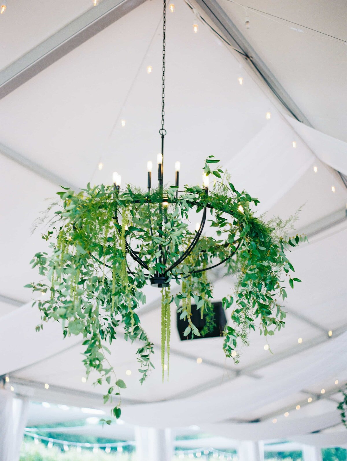 String Greenery Stephanie & Zach Wedding | Tabor Hill Winery, Buchanan, MI