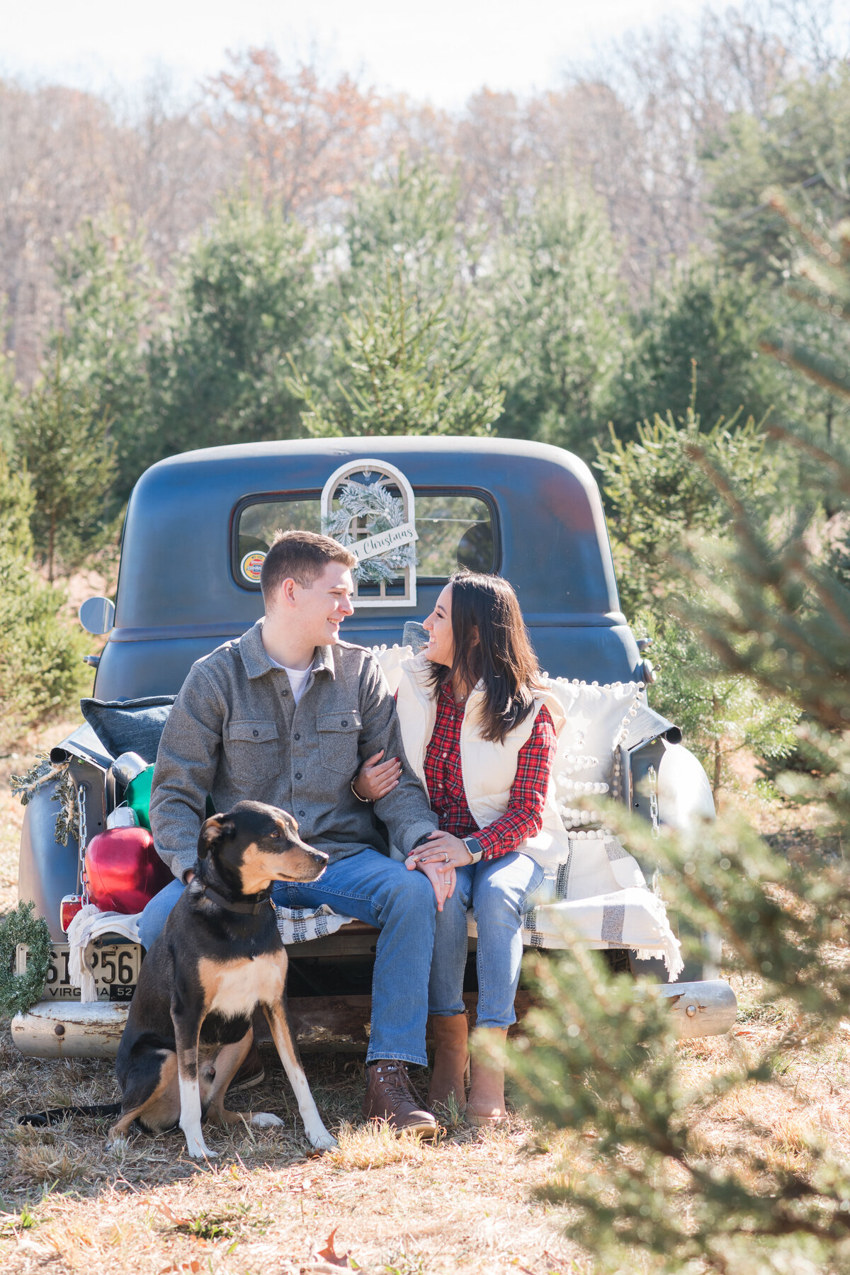 Fluvanna Christmas Tree Farm-Harvatine-5