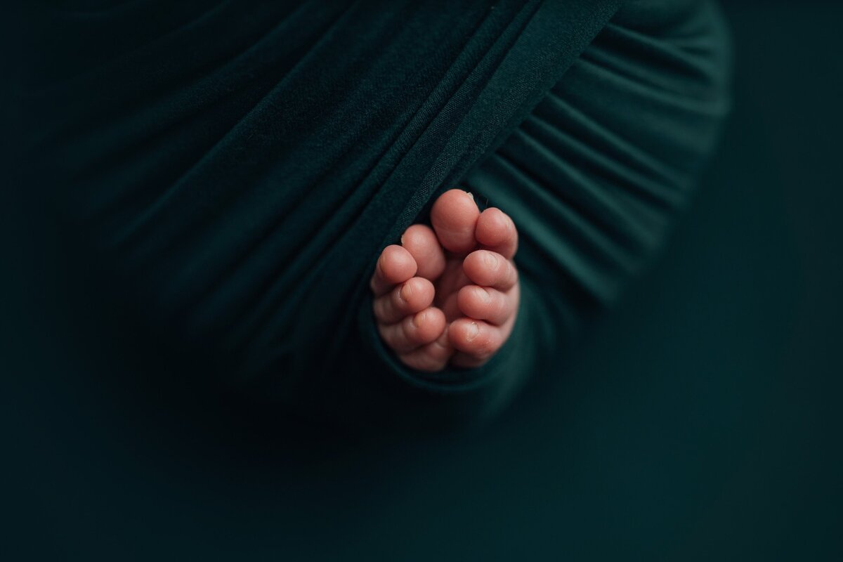 newborn toes during photo session in tampa