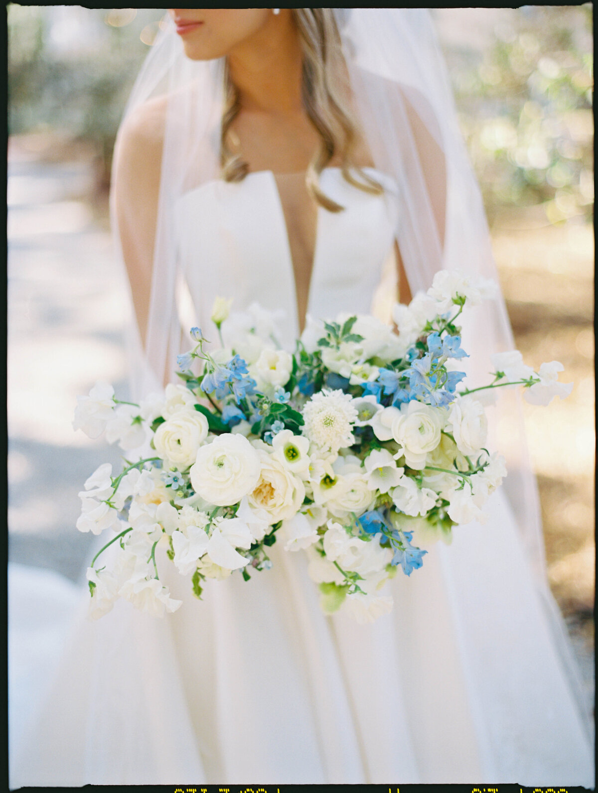 TheFlowers-SamanthaJeanBecker-020
