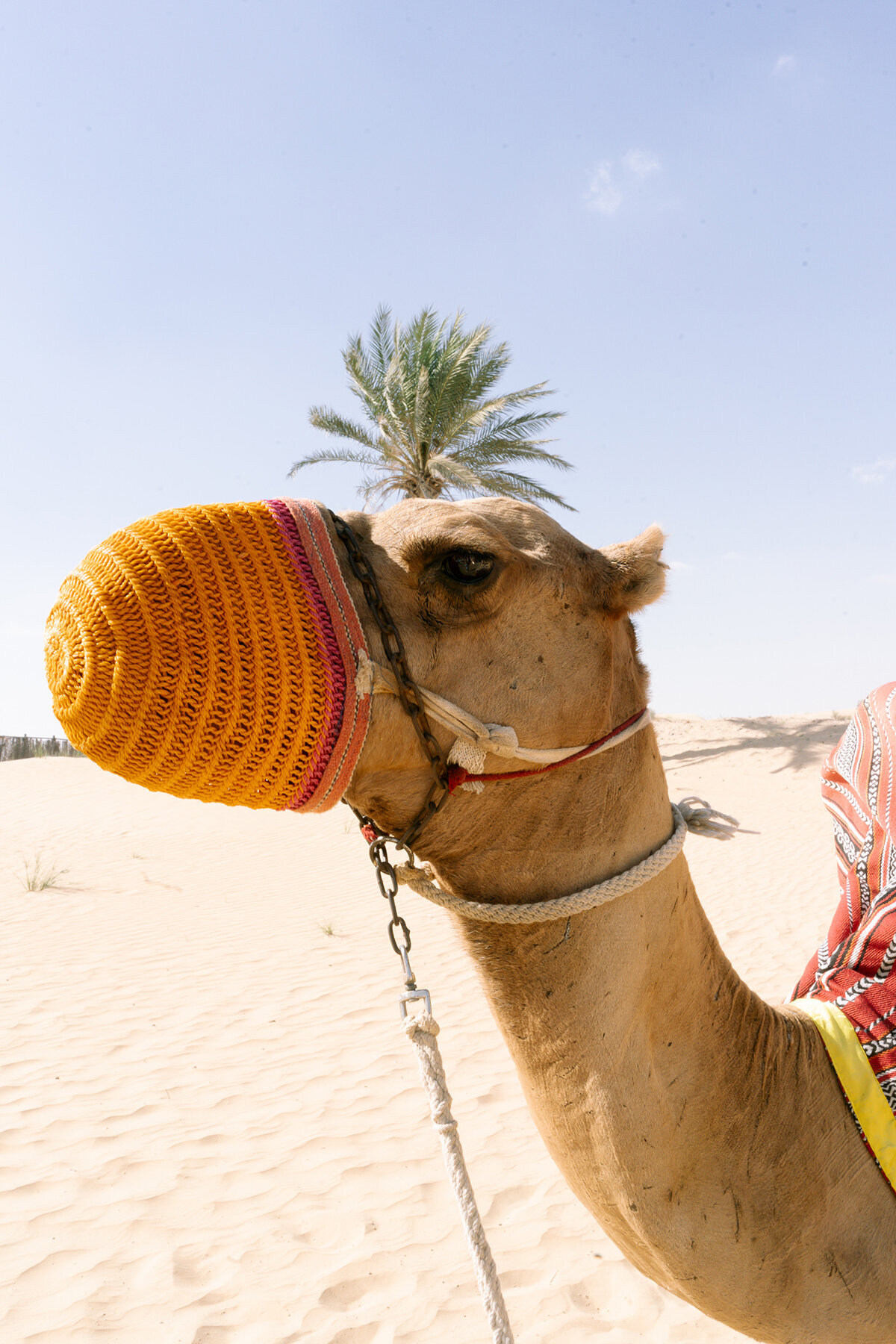 Michelle Norwood Living - Luxury Travel Inspiration - Dubai - thejoee_0388