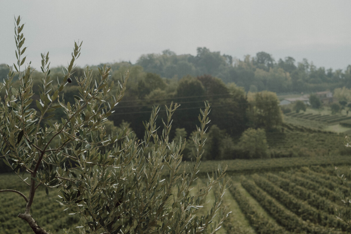 Veneto Wine Tour (9 of 91)