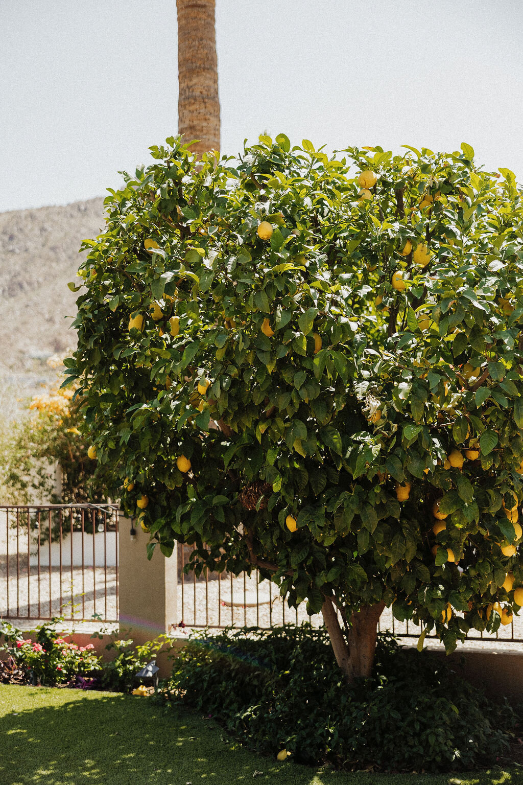 Emilieeleanorphotography-50345