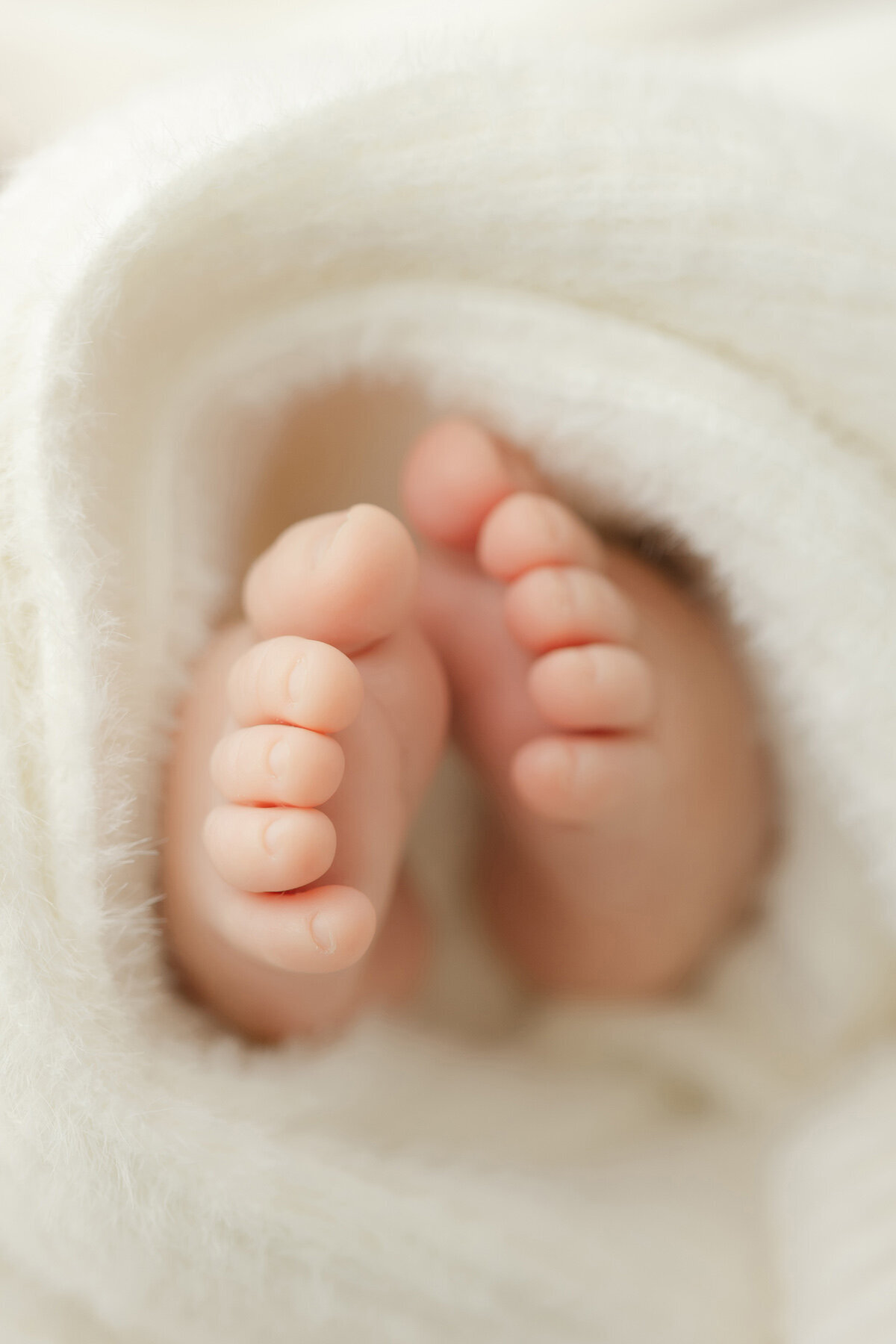 Raleigh-Newborn-Photography 020