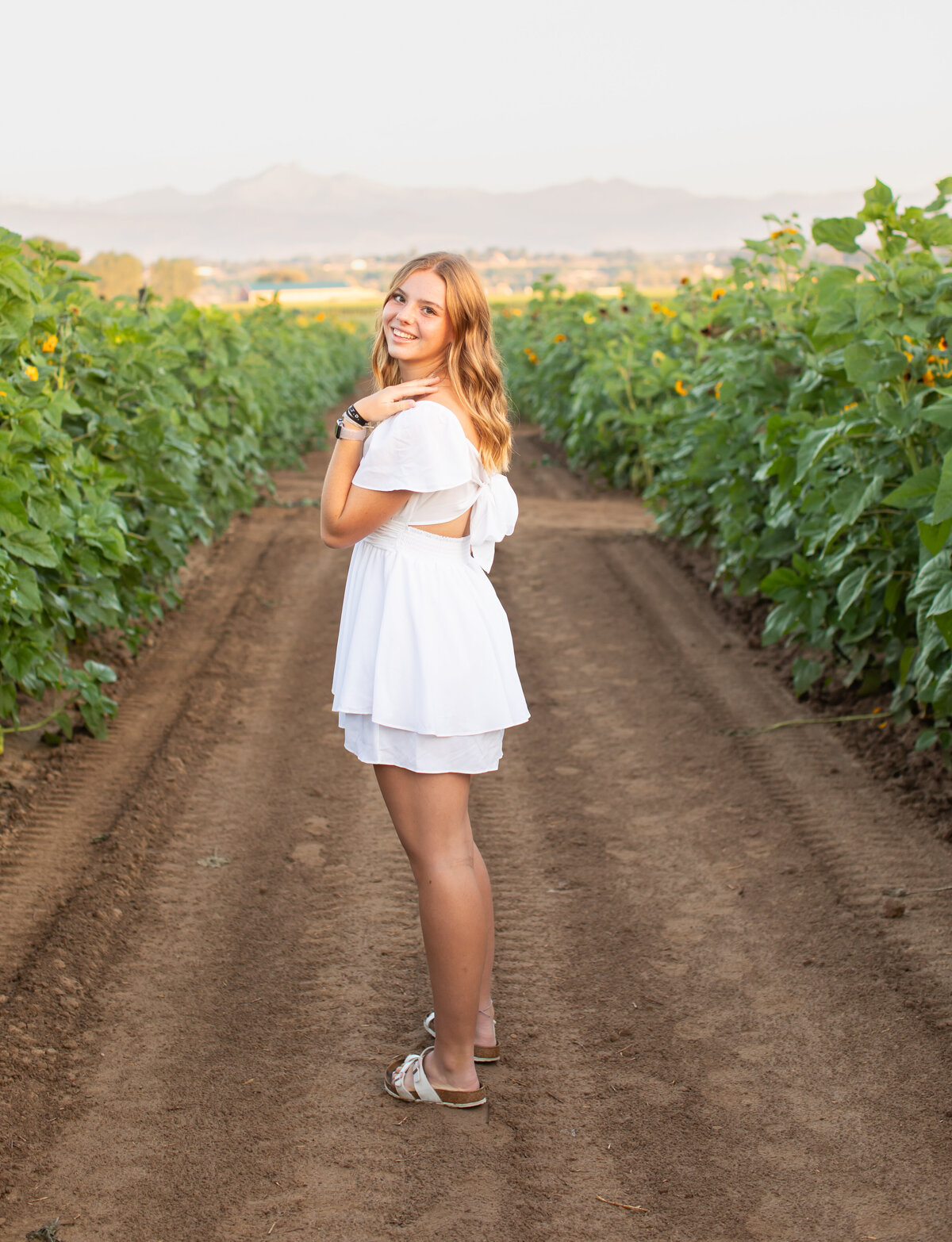 Addison sunflower shoot _0006