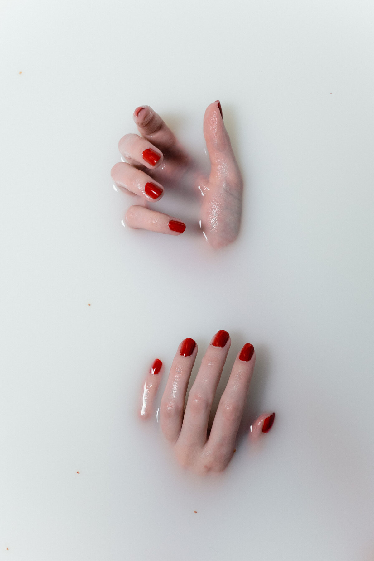 884A7454