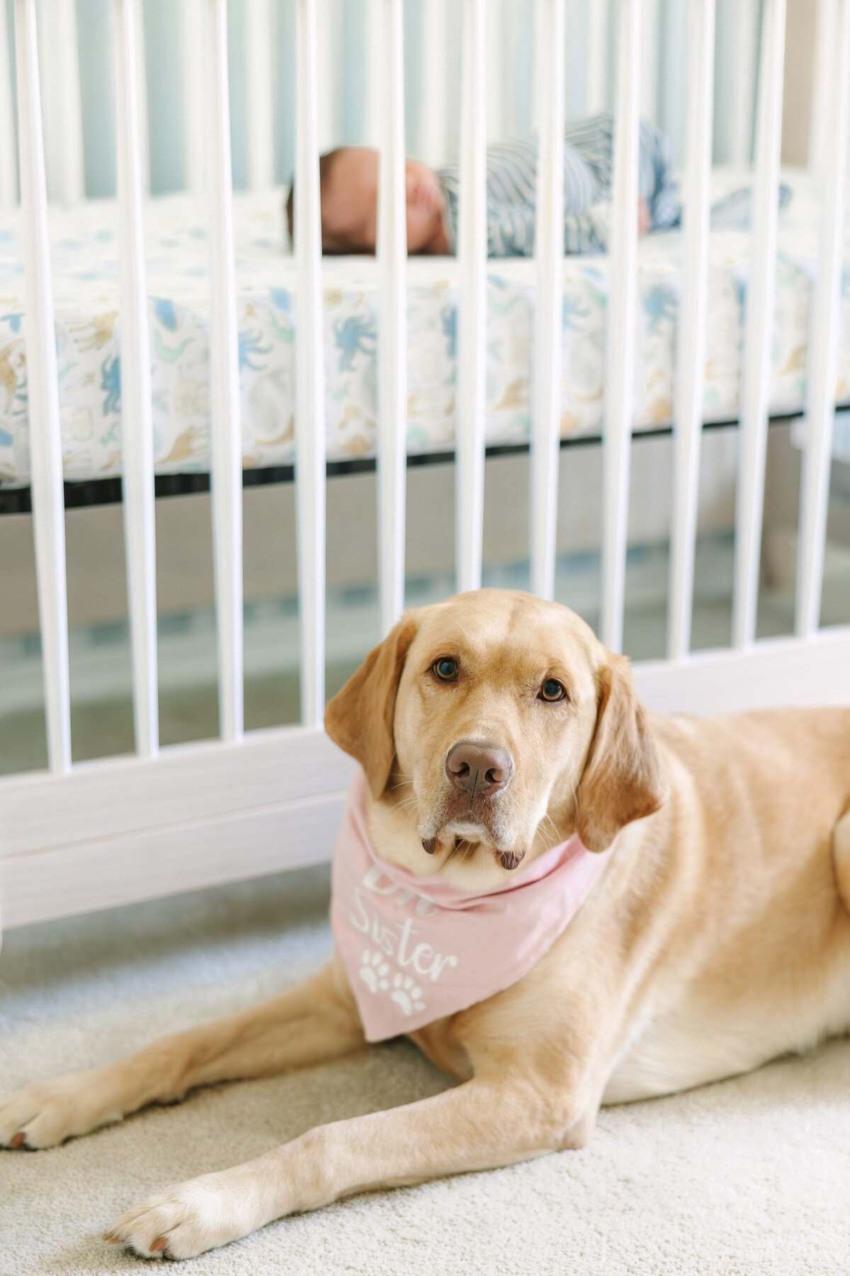Newell Newborn - Theo-52