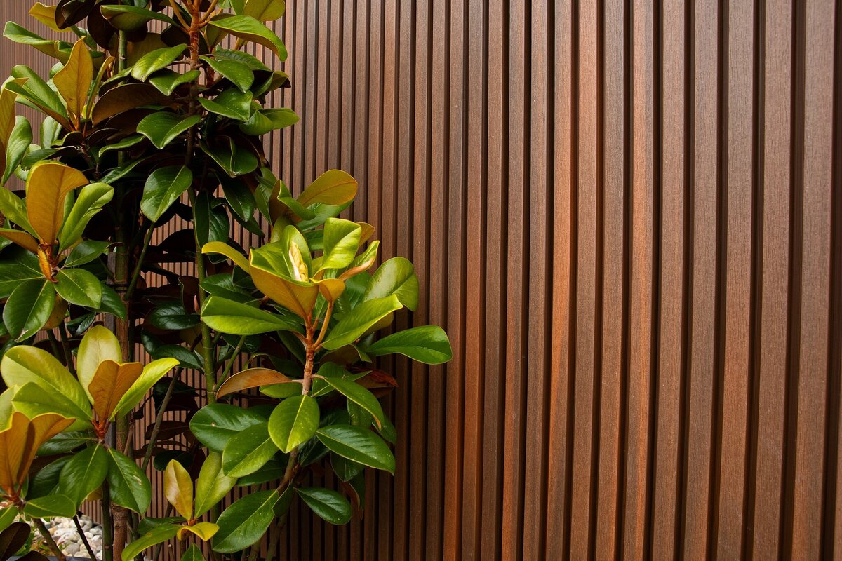 Plant design against a timber fence by total landscapes & design Warrnambool