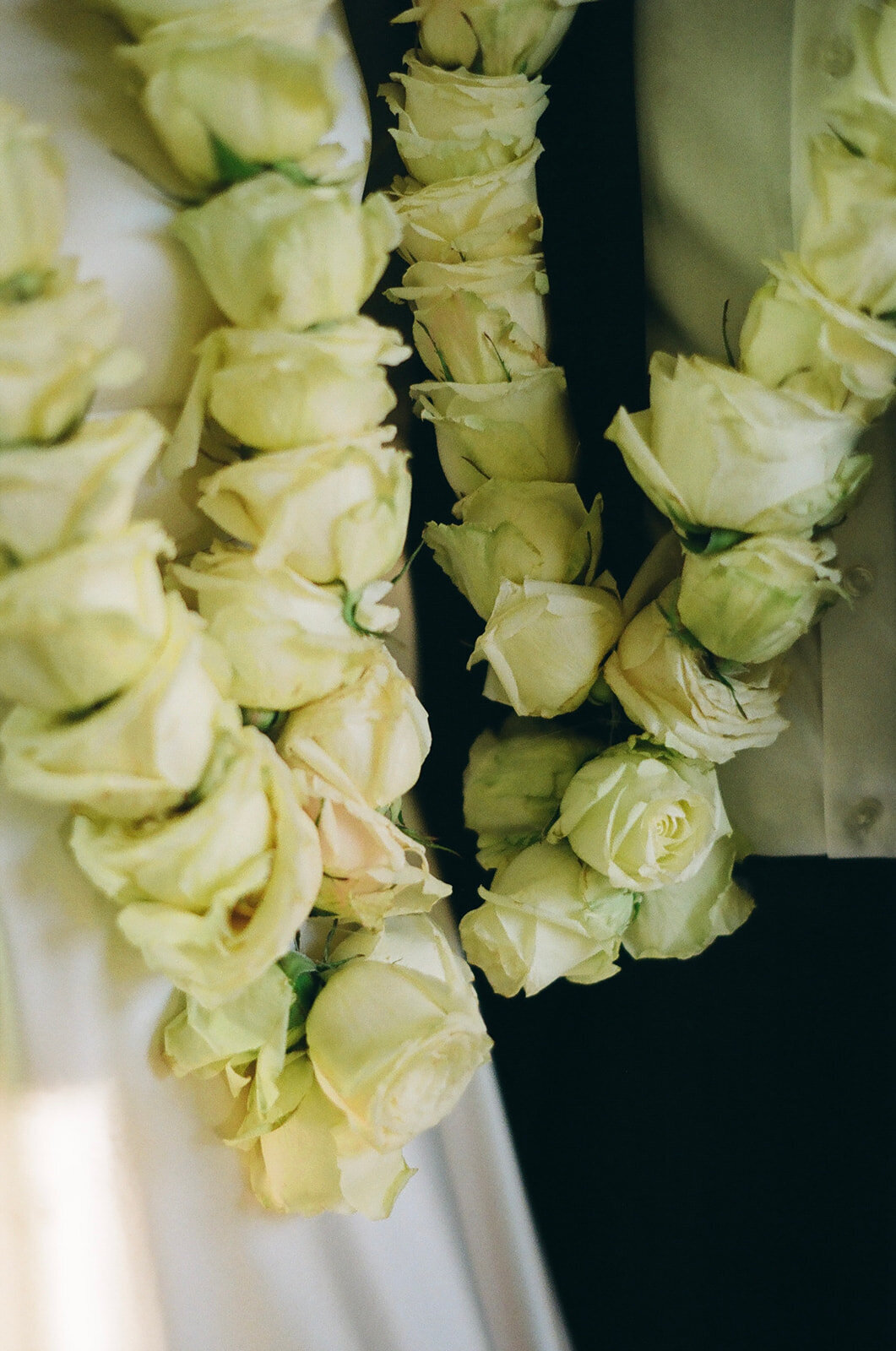 E4699981-A764-47F5-A917-40CF5033C6FB_websize
