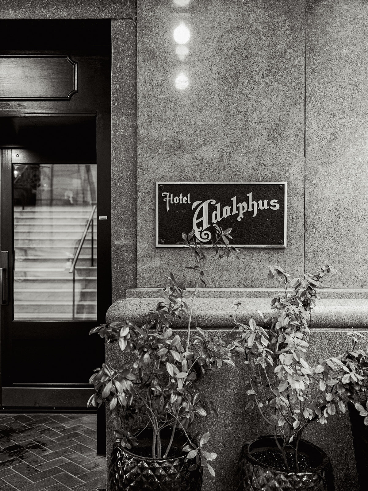 2024-04-20_Vittoria+NicholasBertlingWedding_MollyMurphyPhotography-1