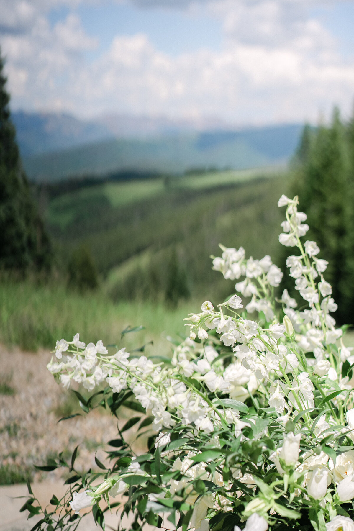 BeaverCreekWeddingDeck_0081
