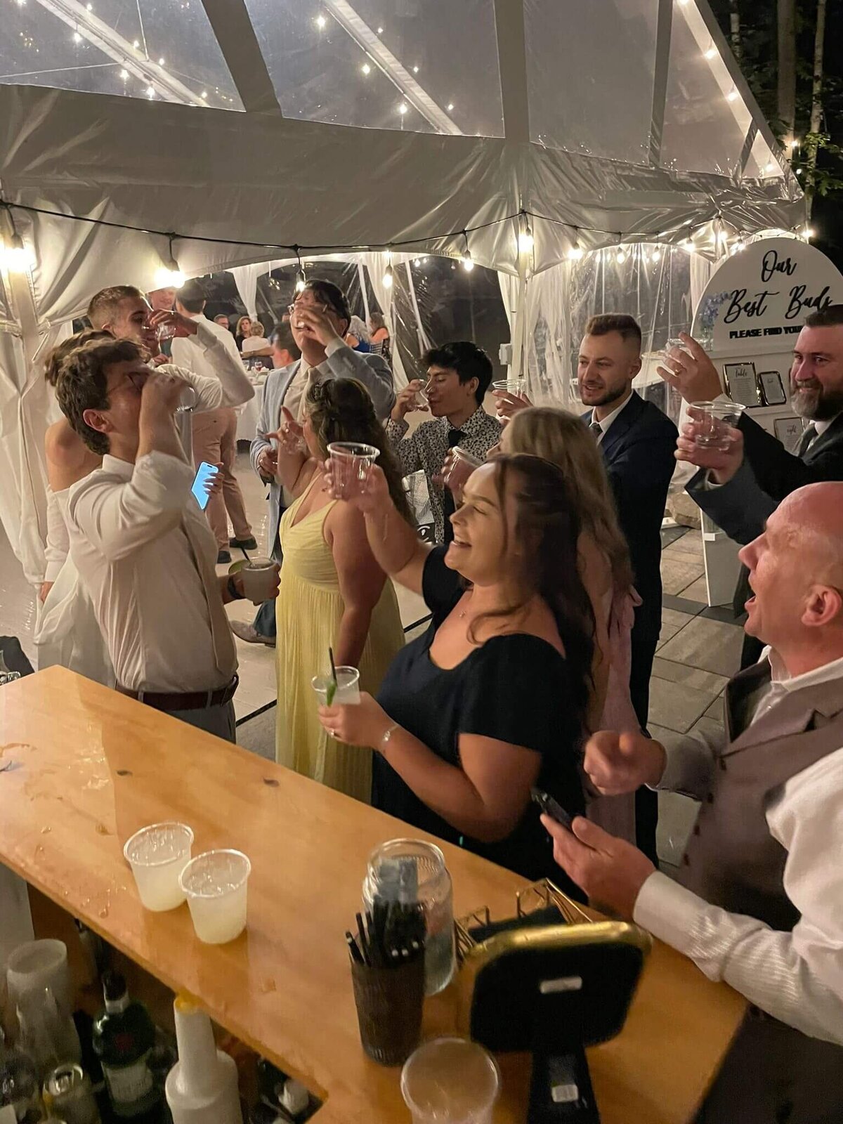 mobile_bar_ontario_hire_bartenders_event_wedding_bachelorette_party (30)