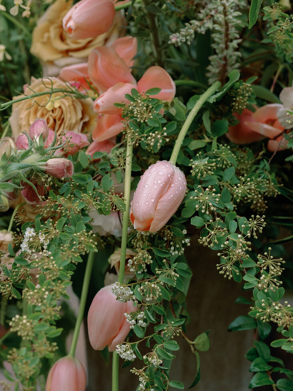 AnnaCalvin-Wed2025-519