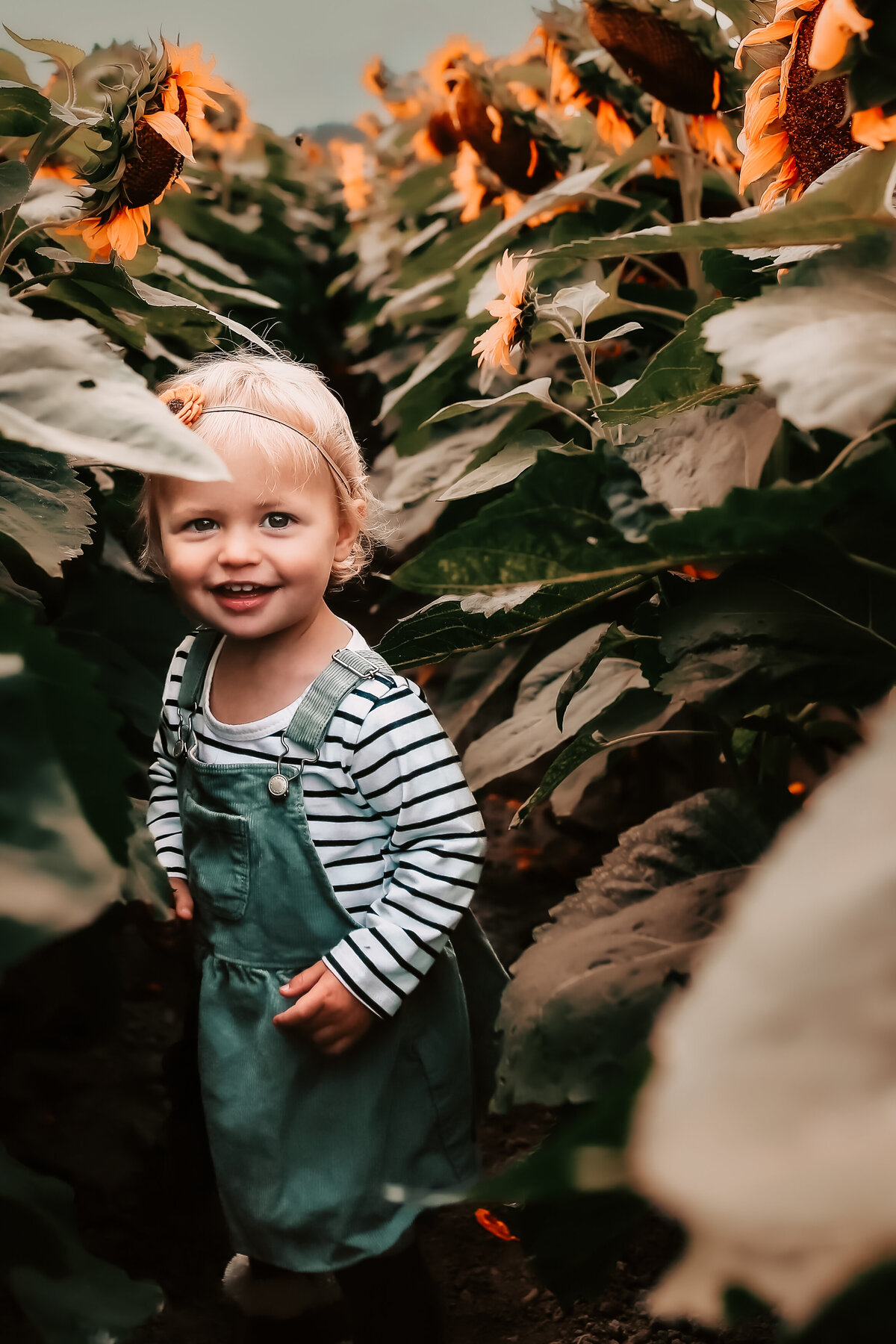 toddler-in-sunflower-field