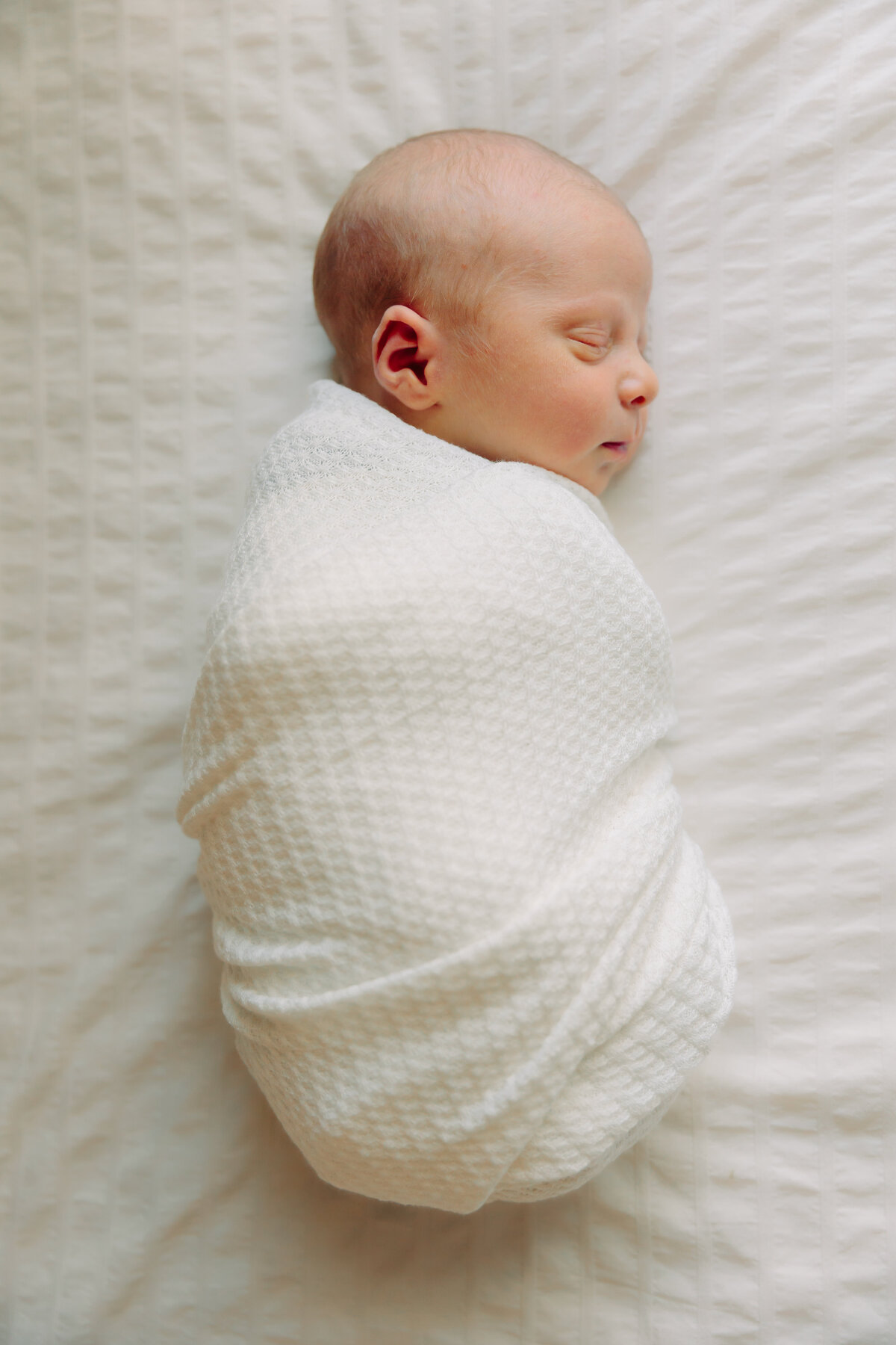 NewbornLev-115