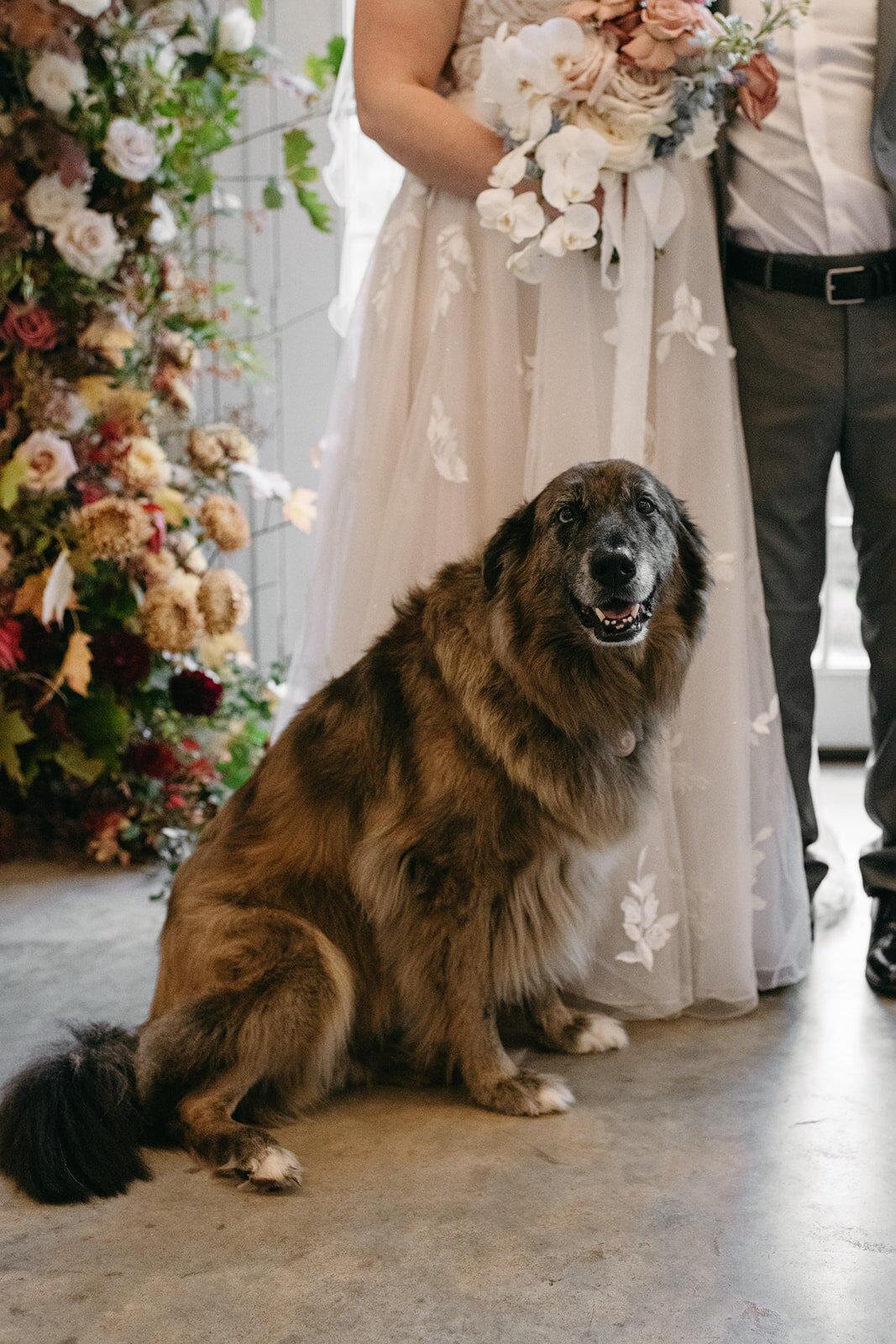 ZachAshlyWedding2022FreckledFoxPhotography-309_websize