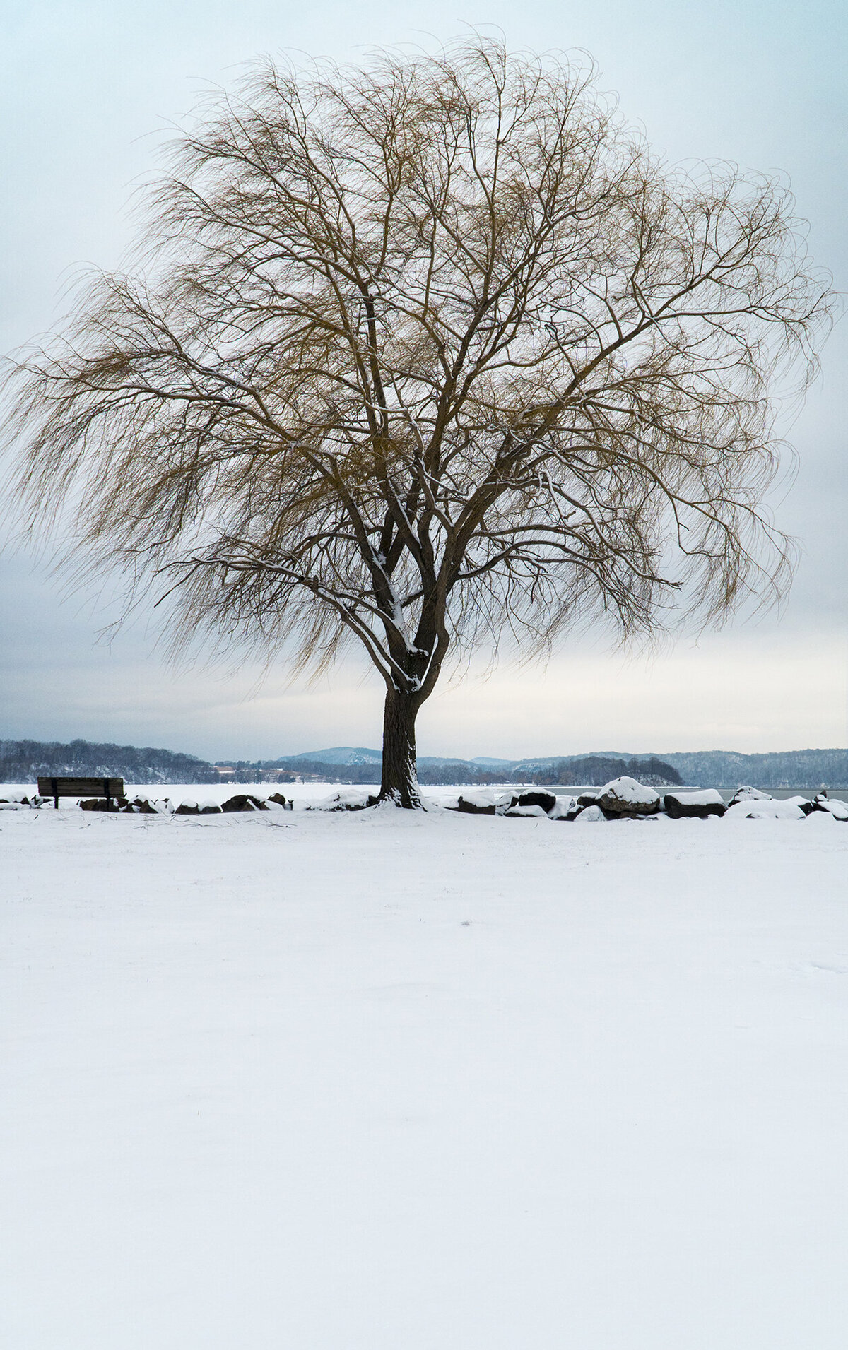Winter_web
