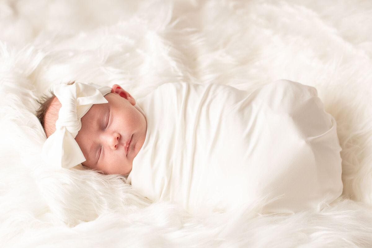 Baby Sage_Sept 2024_010