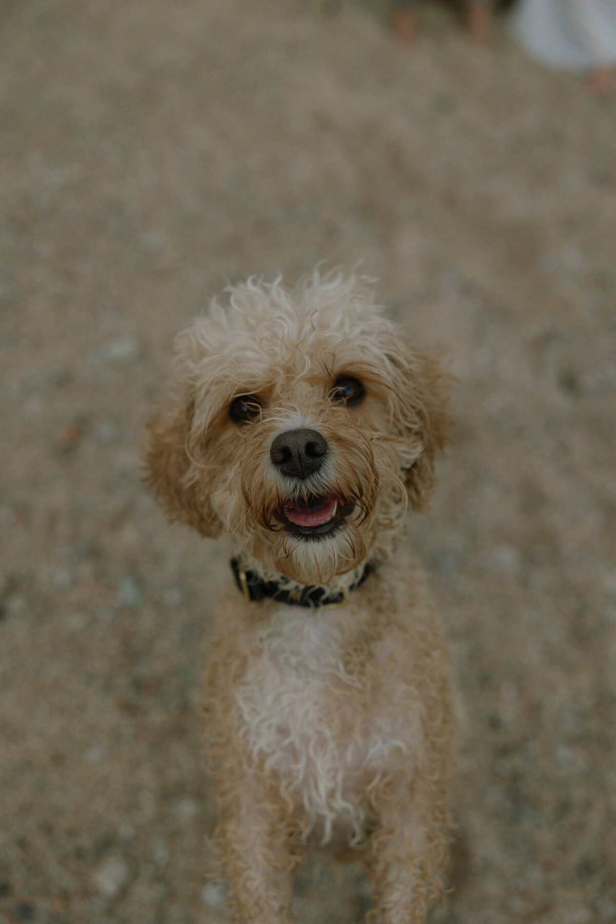 COURTNEY & MIKE - 29