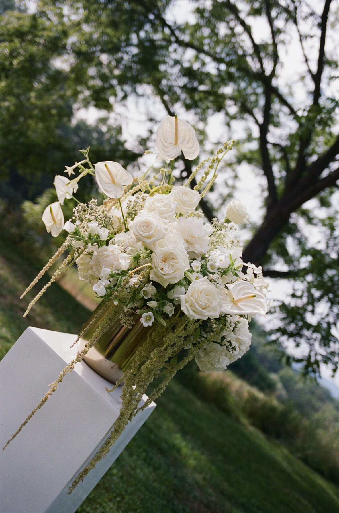 Jenny Losee Photography (115 of 346)