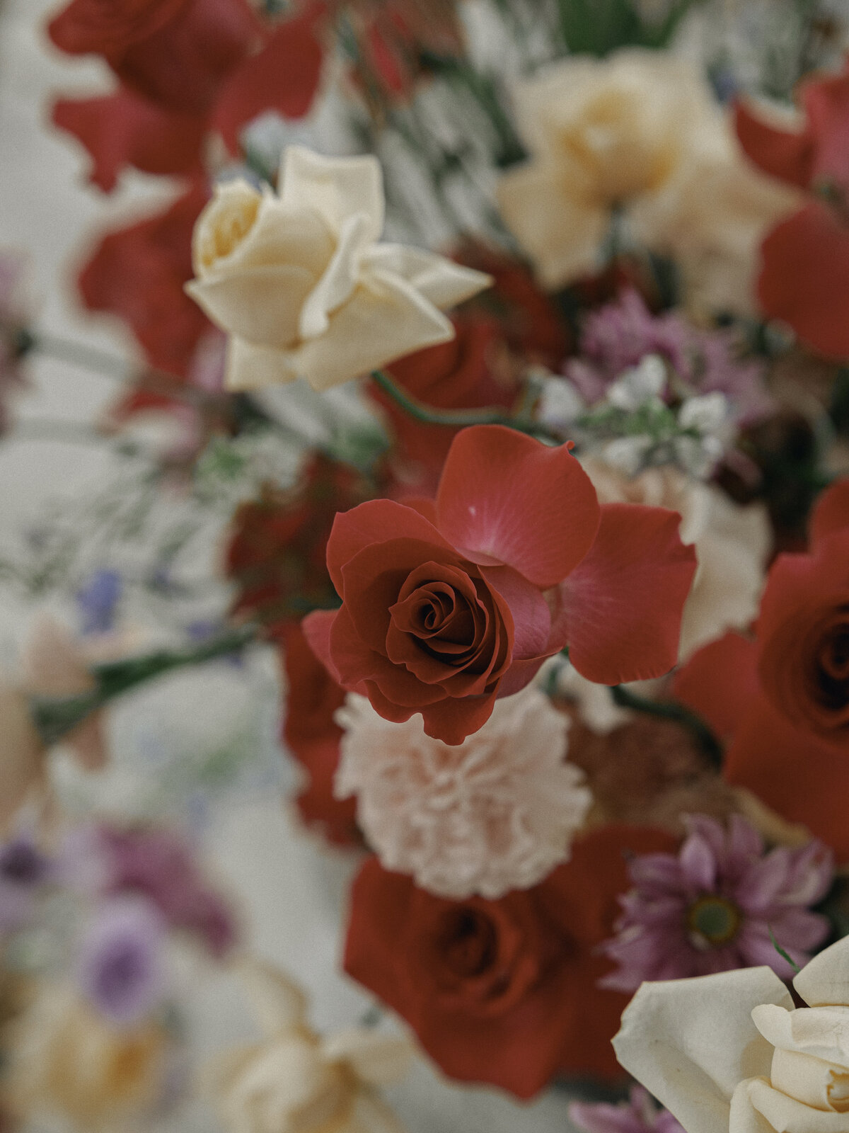 Ry+Bro|FULLGALLERY#-426